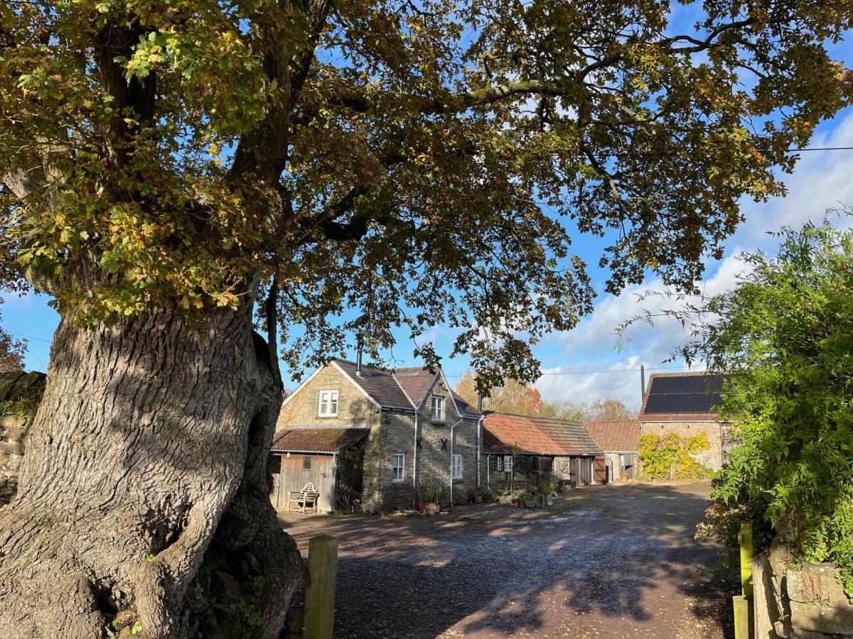 Apartamento The Bothy At Oak Farm Usk Exterior foto